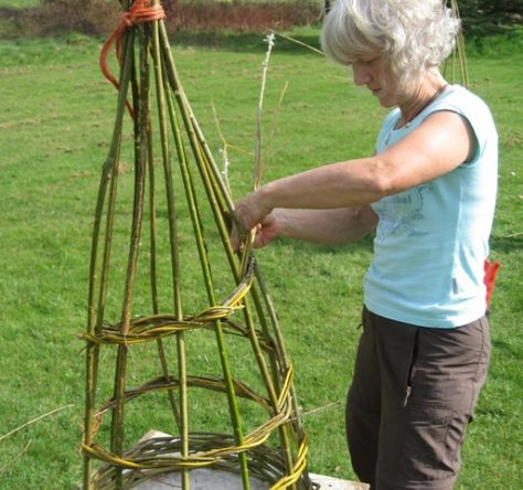 Willow Garden Structures Course - John Waller, Underwoodsman Willow Obelisk, Twig Trellis, Willow Plant, Takken Decor, Willow Garden, Diy Garden Trellis, Garden Obelisk, Willow Weaving, Fall Planters