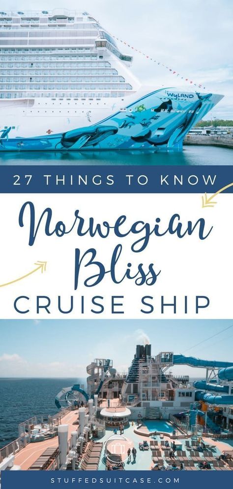 Norwegian Bliss, Alaska Cruise Tips, Alaska Cruises, Ncl Cruise, Best Cruise Lines, Cruise Planning, Cruise Excursions, Cheap Cruises, Cruise Liner