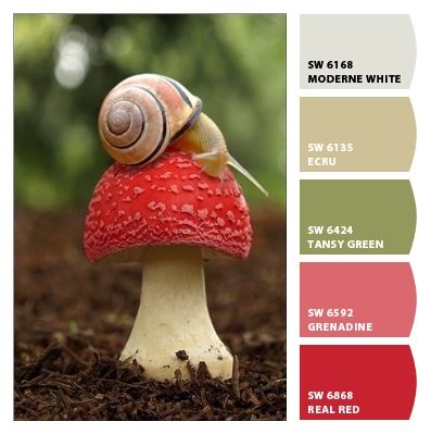 Paint colors from ColorSnap by Sherwin-Williams Mushroom Color Pallete, Color Palette Mushroom, Mushroom Colour Palette, Mushroom Color Palette, Mushroom Color, Color Design Inspiration, Hex Color Palette, Red Color Schemes, Forest Color