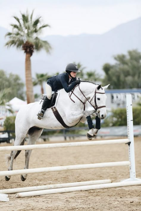 Horse Riding School, Woman Jumping, Hunter Jumper Horses, Hunter Horse, Horse Magazine, Show Jumping Horses, Equestrian Aesthetic, Cute Horse Pictures, Horse Aesthetic