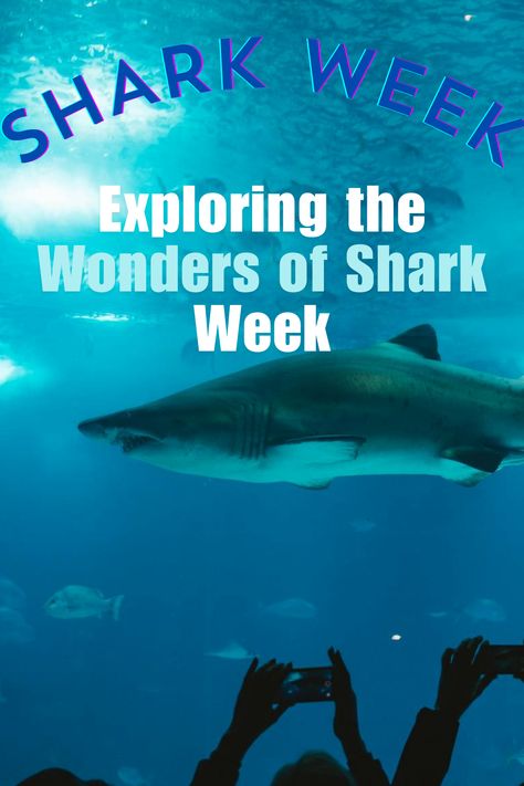 Learn about different shark species, their vital role in the marine ecosystem, and how to protect these incredible creatures. Shark Species, Marine Ecosystem, Apex Predator, Incredible Creatures, Fascinating Facts, Shark Week, The Marine, Underwater Photography, Ecosystem