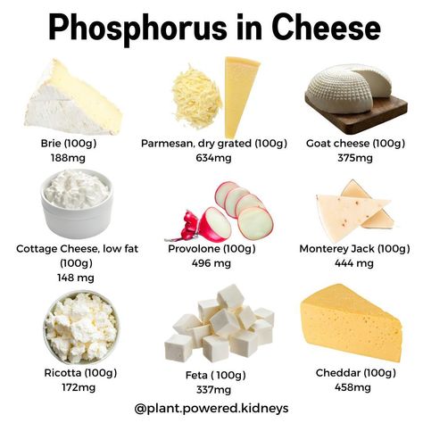 Did you know about the phosphorus content in cheese? ⁠ 🧀Cheese is by far the hardest thing for my clients to give up when we talk about moving to a completely plant-based diet.⁣⁠ ⁣⁠ And it's understandable... cheese is so dang delicious!⁣😋⁠ ⁣⁠ It hits a lot of the flavor spots when it comes to a satisfying food. Saltiness, creaminess, tangy and sometimes even a little sweet!⁣⁠ ⁣⁠ But keep in mind that cheese has phosphorus, and even though that phosphorus is considered an organic phosphorus (m Renal Friendly Recipes, Low Sodium Cheese, Foods Good For Kidneys, Kidney Healthy Foods, Kidney Diet Recipes, Kidney Friendly Recipes Renal Diet, Food For Kidney Health, Low Potassium Diet, Low Protein Diet