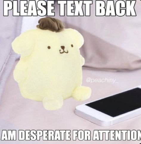 Sanrio Meme, Sanrio Memes, Text Back, Quality Memes, Cute Messages, Hello Kitty Pictures, Hello Kitty Items, Wholesome Memes, Funny Reaction Pictures