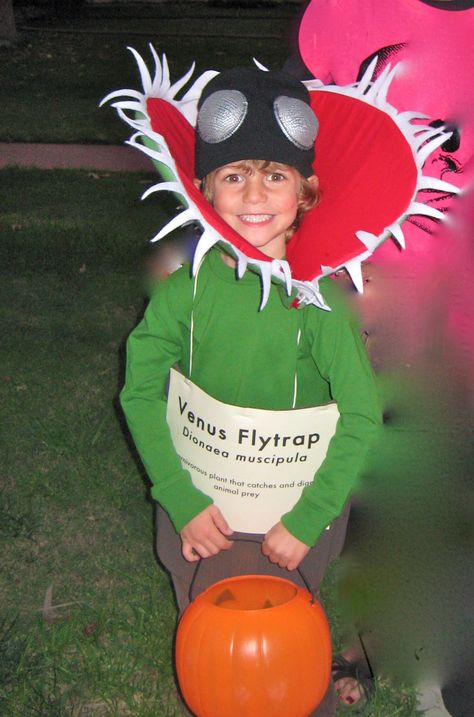 Venus Flytrap Diy Venus Fly Trap Halloween Costume, Venus Fly Trap Costume Diy, Venus Flytrap Costume, Venus Fly Trap Costume, Fly Trap Homemade, Venus Costume, Mario Costumes, Fly Costume, Sam Halloween