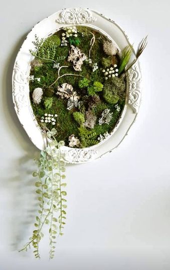 Moss Frame Art, Moss Frame, Mosses Basket, Diy Succulent Terrarium, Jungle Decor, Modern Floral Design, Plant Crafts, Old Picture Frames, Moss Wall Art