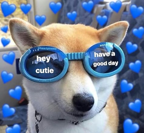 Send/Tag this to brighten up their day 💐❤️. Follow @heartymeme for more wholesome memes ❤️. #uwumemes #cutememes #iloveyoumemes #wholesomes… Beauty Humor, Hey Cutie, Tiktok Beauty, Hello Memes, Couple Memes, Cute Text Quotes, Sports Food, Cute Love Memes, Video Tiktok