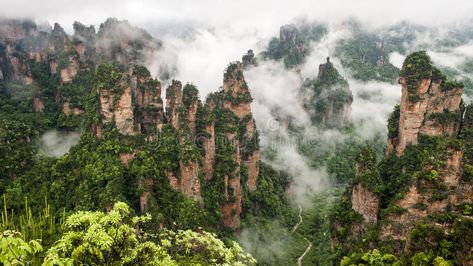 China Mountain at Zhang Jie Jia. China Zhangjiajie National Park, Avatar Hallelu , #Sponsored, #Jie, #Jia, #Zhang, #China, #Mountain #ad Monkey Sitting, Macaque Monkey, Eating Fruit, Mountains Wall Art, Zhangjiajie, Sunset Wall Art, Take Better Photos, 3d Texture, Mountain Wall Art