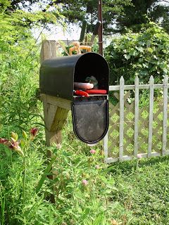 Mailbox Garden, Garden Tool Holder, Best Garden Tools, Garden Tool Organization, Backyard Storage, Garden Tool Shed, Upcycle Garden, Garden Tool Storage, Digital Portfolio