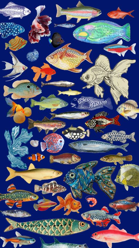 plenty of #fish in the sea #collageart Fish In The Sea, Plenty Of Fish, The Ocean, The Sea, Fish, Collage