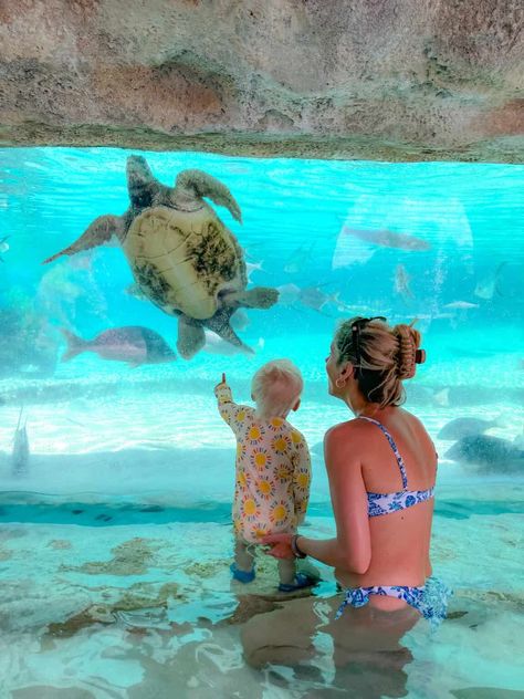 Rosewood Baha Mar Review | Bahamas Family Vacation - Katie's Bliss Bahamas Family Vacation, Rosewood Baha Mar, Wedding Reveal, Baha Mar, Planning A Vacation, Bahamas Travel, Destin Hotels, Entertaining Gifts, Grand Hyatt