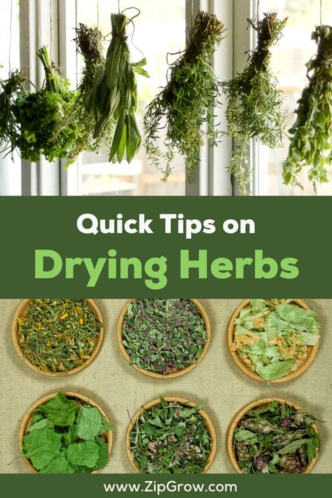 Drying fresh herbs is a great way to preserve the flavors and aromas of your favorite herbs. It’s easy to do and an excellent way to save money and reduce food waste. Hanging Herb Drying Rack Diy, Drying Herbs Hanging Rack Diy, Hang Drying Herbs, Diy Drying Rack Herbs, Herb Hanging Rack, Diy Herb Drying Rack Ideas, Hanging Herbs To Dry, Hang Herbs To Dry, Hanging Herbs In Kitchen