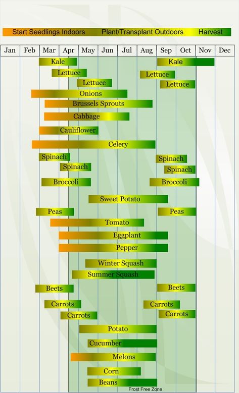 Monthly Gardening Calendar Zone 8 may produce a template to integrate the target of the excursion, with a section comprising reminders for Customize your little business travel planner... Vegetable Planting Calendar, Gardening Calendar, Vegetable Planting, Seedlings Indoors, Planting Calendar, Zone 7, Gardening Zones, Fall Vegetables, Magic Garden