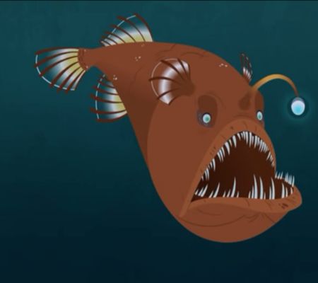 Humpback Anglerfish/Melanocetus Johnsonii Humpback Anglerfish, Wild Kratts Birthday Party, Wild Kratts, Scary Animals, Kingdom Animalia, Art Fish, Save The Elephants, Angler Fish, Prehistoric Creatures