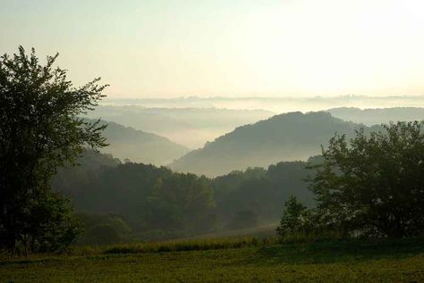 Home - Driftless Wisconsin Driftless Area, Healthy Travel, Great River, House Bed, Still Water, In The Fall, Planet Earth, Bed And Breakfast, Outdoor Recreation