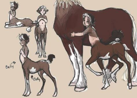 Centaur Character, Centaur Character Art, Centaur And Human Couple, Half Human Half Animal Character Design, Centaur Types, Pregnant Centaur Art, Izu, Fantasy Creatures Art, Mythological Creatures