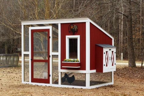 Simple Chicken Coop, Small Chicken Coop, Chicken Coop Pallets, Backyard Coop, Small Chicken Coops, Easy Chicken Coop, Portable Chicken Coop, Backyard Chicken Coop Plans, Chicken Coop Signs