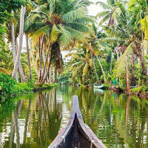 Allepy backwaters, Kerala, India Get Paid To Travel, Paid To Travel, India Kerala, Foreign Countries, Kerala India, Travel Pins, Amazing Travel, Rent A Car, Nature Scenes