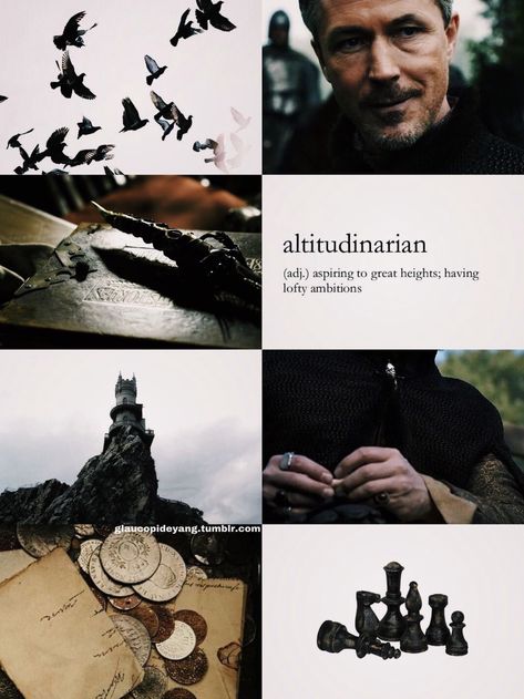 House Baelish Aesthetic, Petyr Baelish Aesthetic, Baelish Aesthetic, Petyr Baelish Art, Aiden Gillen, Lord Baelish, Asoiaf Aesthetic, Fantasy Aesthetics, Petyr Baelish