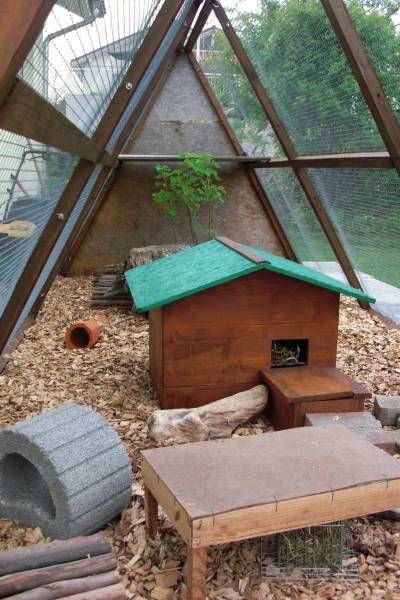 Stylish guinea pig outdoor hutch Pig Habitat, Guinea Pig Hutch, Guinea Pig House, Sulcata Tortoise, Pig House, Rabbit Cages, Bunny Cages, Pet Guinea Pigs, Bunny House