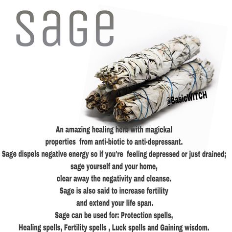 Sage In Witchcraft, Sage Witchcraft, Witchy Healing, Sage Uses, Fertility Spells, Magickal Herbs, Witch Herbs, Green Witchcraft, Luck Spells