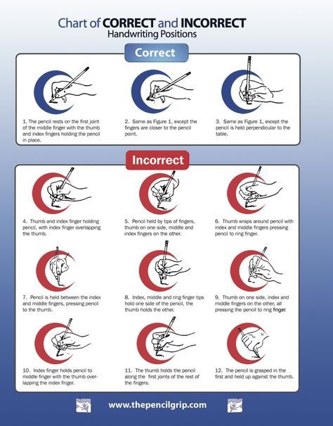Better Handwriting@Home: : CORRECT and INCORRECT Handwriting Positions Pencil Grasp, School Shopping List, Handwriting Analysis, Improve Your Handwriting, Improve Handwriting, Dysgraphia, Pediatric Occupational Therapy, Online Teachers, Teacher Supplies