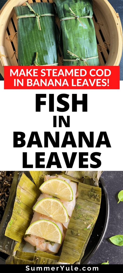 Follow this easy recipe for steamed fish in banana leaf; it might become your new favorite way to cook fish! Steamed cod is a healthy lean protein that is packed with essential vitamins and minerals. Unlike when you steam fish in parchment paper, steamed fish in banana leaves imparts a subtle flavor to seafood. It's the perfect cooking method for mild white fishes such as cod! #lowcarb #keto #glutenfree #dinner #lowcalorie #weightloss #fish Steamed Fish In Banana Leaf, Banana Leaf Wrapped Fish, Fish In Banana Leaves Recipe, Banana Leaf Recipe Dishes, Banana Leaf Fish Recipe, Banana Leaf Recipe, Steam Cod Fish Recipe, Steamed Cod Fish Recipes, Banana Leaf Fish