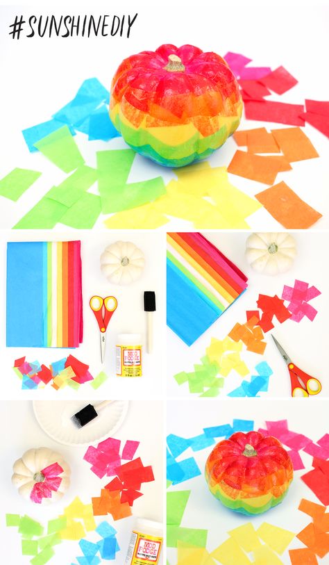 DIY Rainbow Pumpkin | Sunshine Craft Co | #sunshinediy | Use tissue paper to add a bright decoupage rainbow to your Halloween pumpkin! Rainbow Pumpkin, Sunshine Crafts, Rainbow Halloween, October Crafts, Family Festival, Pumpkin Birthday, Diy Rainbow, Rainbow Birthday Party, Halloween Crafts For Kids