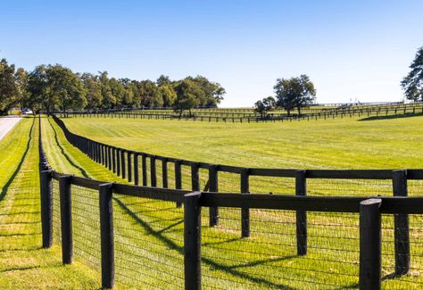 No Climb Horse Fence, Horse Pasture, Pasture Fencing, Ranch Fencing, Country Fences, Horse Barn Plans, Horse Fencing, Farm Fence, Barn Plans