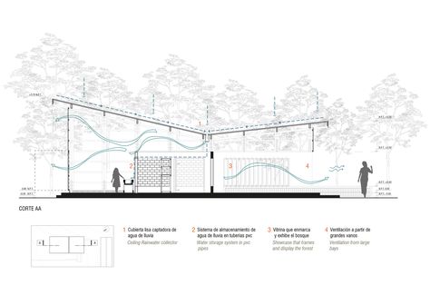 Cement Sink, Environmental Architecture, Rainwater Harvesting System, Rural House, Plant Painting, Indigenous Community, Learning Design, Space Architecture, Construction Process