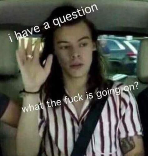 Gambar One Direction, Harry Styles Memes, Response Memes, Harry Styles Funny, Current Mood Meme, Memes Lol, Snapchat Funny, One Direction Humor, One Direction Memes