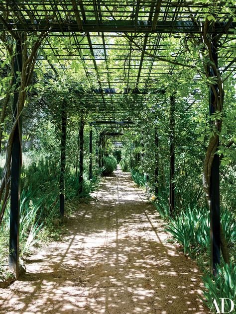 A Noble Spanish Family Restores Its Ancestral Home | Architectural Digest Garden Styling, Backyard Decks, Spanish Family, Batting Cage, Spanish Garden, Pergola Swing, Toledo Spain, Garden Inspo, House Backyard