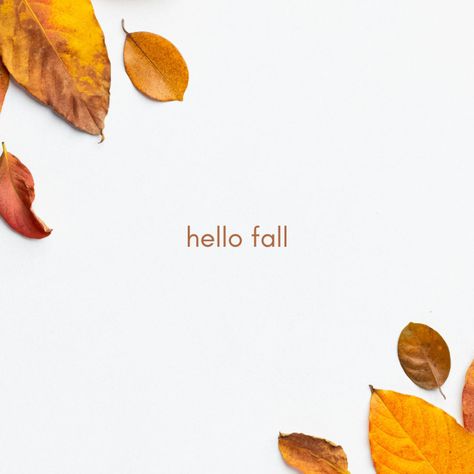 🍁 Happy First Day of Fall! 🍁 Crisp air, golden leaves, cozy sweaters, and pumpkin everything—fall is officially here! 🍂✨ Whether you're ready to dive into all things autumn or just enjoy the simple pleasures of the season, it's time to embrace the magic of fall. What’s your favorite thing about this time of year? Drop it in the comments! 🍁🧡 #FirstDayOfFall #AutumnVibes #CozySeason #SweaterWeather #FallFeels Fall Has Arrived Quotes, Happy Fall Y'all Wallpaper, Leaves Are Falling Autumn Is Calling, Autumn Leaves Falling Down Like Pieces Into Place, Autumn Mood Meme, Crisp Air, Golden Leaves, Fall Feels, Simple Pleasures