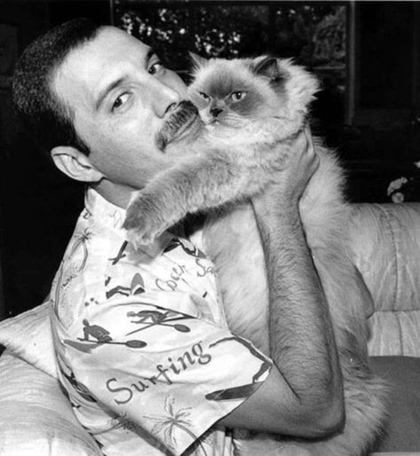 These Vintage Photos Prove That Celebrities Love Their Cats Just As Much As We Do Celebrities With Cats, Men With Cats, Dane Dehaan, Dan Stevens, Freddy Mercury, Queen Freddie Mercury, Brian May, Queen Band, Phoebe Tonkin