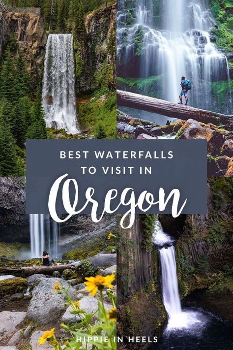 A complete guide to the best water falls in Oregon both near Portland and Bend and in the Columbia River Gorge. | oregon waterfalls portland, oregon waterfalls road trip, oregon waterfalls hiking, southern oregon waterfalls Oregon Waterfall Hikes, Waterfalls In Oregon, Gorge Oregon, Visit Oregon, Oregon Hikes, Oregon Vacation, Oregon Waterfalls, Oregon Road Trip, Chasing Waterfalls