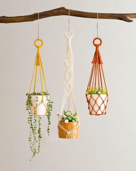 For all the plant lovers out there, our BeanDaikon Macrame Plant Hanger is a perfect piece to showcase your lovely plants and elevate your home decor. Our product is designed to help you save space while adding a fresh and stylish touch to your living space. Don't miss out—get yours now at https://beandaikon.com or click the link in our bio to visit our shop! #BeanDaikon #MacramePlantHanger #PlantLovers #AffordableLuxury #Houseplants #InteriorDesign #homedecor #handmademacrame Macrame Plant Holders, Plant Hanging, Macrame Planter, Support Pour Plante, Hanging Plant Holder, Support Plante, Christmas Organization, Macrame Plant Holder, Macrame Hanging