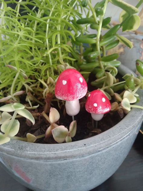 Mushroom Diy, Air Drying Clay, French Country Cottage Decor, Clay Mushroom, Mushroom Plant, Fairy Furniture, Clay Pot Crafts, Mushroom Decor, Handmade Clay