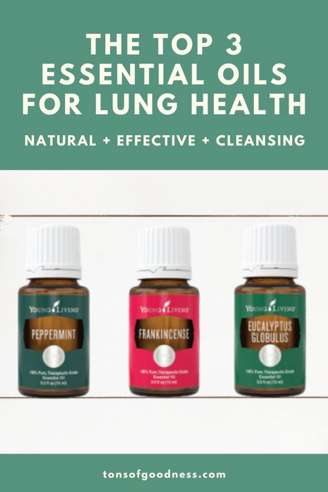 These three essential oils have been shown to relieve a cough and clear your lungs. A dilution chart is included so that your whole family can benefit from these essential oils. Bath Essential Oils, Essential Oil For Bronchitis, Oils For Cough, Topical Essential Oils, Essential Oils Uses Chart, Oil For Cough, Essential Oils For Cough, Lung Health, Michelle Lee