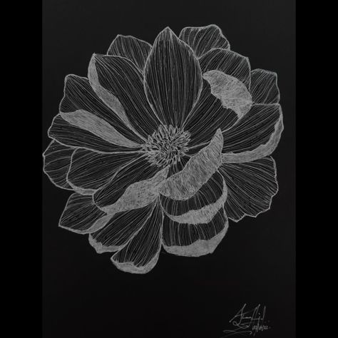 White Ink On Black Paper, White Gel Pen Art, White Sketch On Black Paper, Disc Dyeing, White Charcoal On Black Paper, Paper Drawing Ideas, Gel Pen Art, Chart Paper, Black Paper Drawing