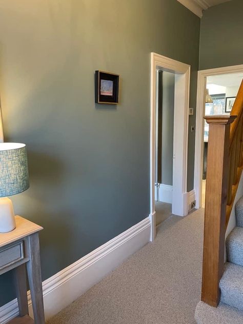 Sage Green Hallway Ideas, Sage Green Hallway, Downstairs Hallway, Stairs And Hallway Ideas, Green Hallway Ideas, Carpet Green, Wall Colours, Hall Ideas, Small Hall