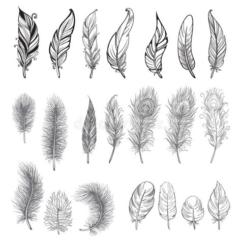 Small Feather Tattoo, Types Of Feathers, Feather Illustration, Feather Drawing, Feather Vector, Feather Tattoo Design, Feather Tattoo, Feather Art, Feather Tattoos