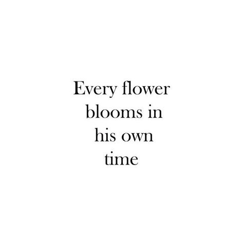 Happy Quotes Aesthetic, Quotes About Flowers, Definition Quotes, Inspirational Life Lessons, Therapy Quotes, Aesthetic Flower, Good Luck Quotes, Healing Words, Flower Therapy