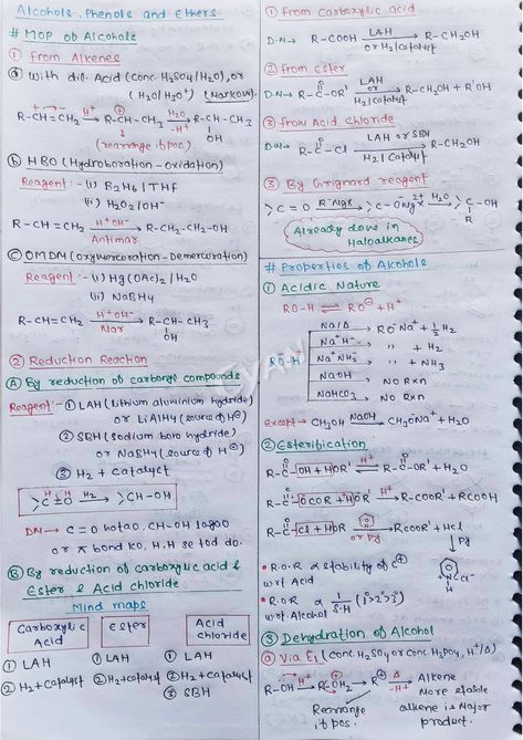 ALCOHOL PHENOL AND ETHER Handwritten Short Notes [PDF] 📚 Alcohol Phenol Ether Short Notes, Alcohol Phenol Ether Notes, Nomenclature Chemistry, Tissue Biology, Element Chemistry, Notes School, Redox Reactions, Study Chemistry, Human Body Facts