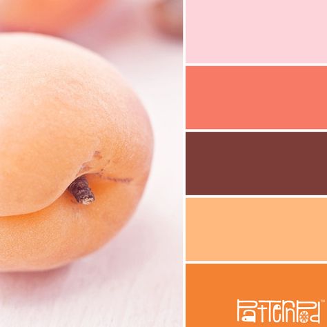 Soft Apricot #patternpod #patternpodcolor #color Design Seeds, Color Balance, Color Harmony, Color Inspo, Colour Board, Colour Schemes, Color Swatches, Color Pallets, Color Theory