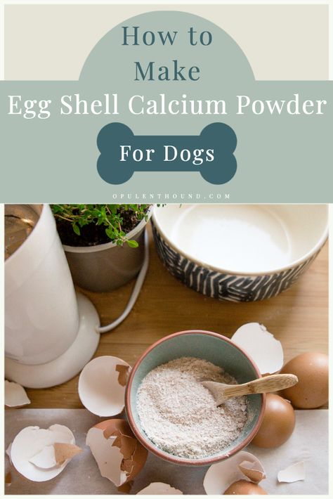 Make sure your dog is getting the calcium they need in their diet, especially dogs on home made or raw diets with this simple and natural addition. Egg shell powder is easy to make at home with this simple recipe.   #healthydog #dogdiet #eggshellcalcium #eggshellpowder Egg Shell Powder, Can Dogs Eat Eggs, Dog Knowledge, Winston Duke, Dog Biscuit, How To Make Eggs, Healthy Dog Treats Homemade, Biscuit Recipes, Food Homemade