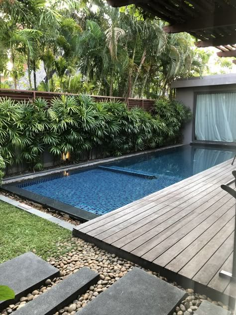 Small Swimming Pool Ideas, Swimming Pool Backyard, Tropical Pool Landscaping, Garden Pool Design, Small Swimming Pool, Pools For Small Yards, Backyard Swimming Pool, Pool Plants, Tropical Landscape Design