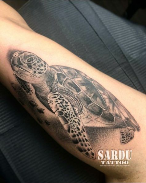 Turtle Tattoo Realism, Realistic Turtle Tattoo Designs, Men Turtle Tattoo, Turtle Forearm Tattoo, Turtle Tattoo Men, Sea Turtle Tattoo For Men, Sea Turtle Tattoo Realistic, Turtle Tattoo For Men, Tattoo Tortuga