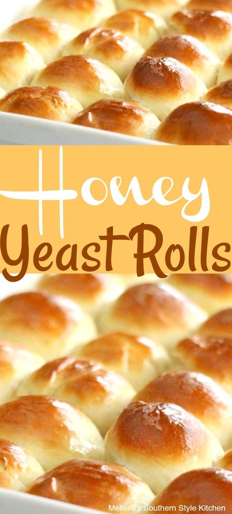 Honey Rolls Recipe, Yeast Rolls Easy, Easy Yeast Rolls Recipe, Honey Rolls, Honey Yeast Rolls, Dinner Rolls Recipe Homemade, Honey Dinner, Homemade Yeast Rolls, Yeast Rolls Recipe