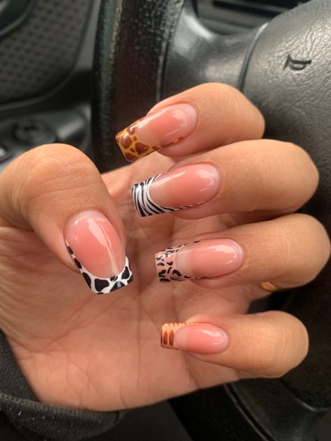 Animal Print Nails French Tip, Zoo Themed Nails, Nail Ideas Animal Print, Mixed Animal Print Nails, Trending Square Nails, Short Animal Print Nails, Safari Themed Nails, Animal Print Acrylic Nails, Animal Print Uñas