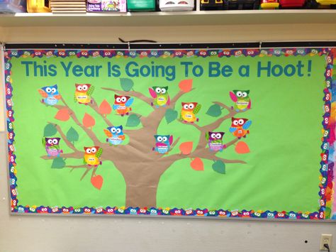 Owl theme bulletin board. Owl Bulletin Boards, September Bulletin Boards, Pinterest Tattoos, Welcome Bulletin Boards, Kindergarten Bulletin Boards, September Activities, Preschool Boards, Owl Theme Classroom, Owl Classroom