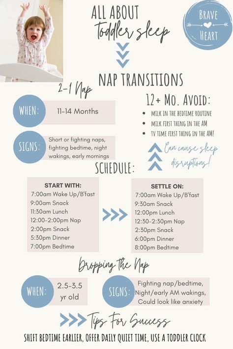 One Nap Schedule Baby, Toddler Bed Transition, Toddler Sleep Schedule, Toddler Routine, Newborn Sleep Schedule, Toddler Nap, Baby Routine, Toddler Schedule, Baby Schedule